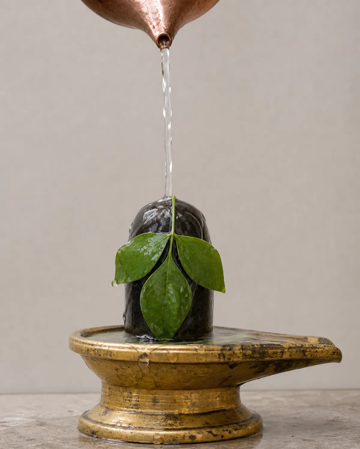 Rudrabhishek ritual guide